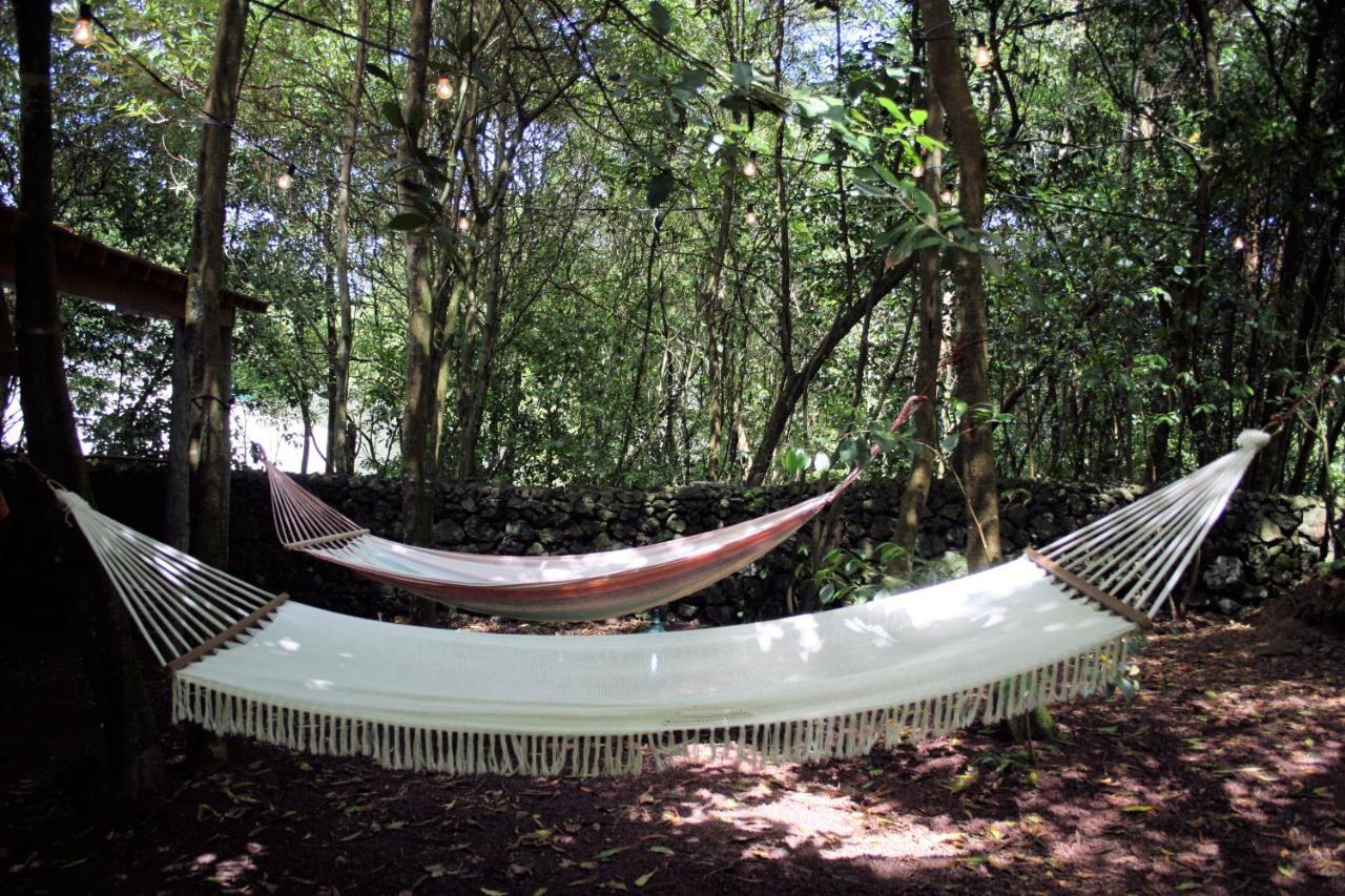 Azores Casa Da Mata Wellness Spa São Vicente Ferreira Dış mekan fotoğraf